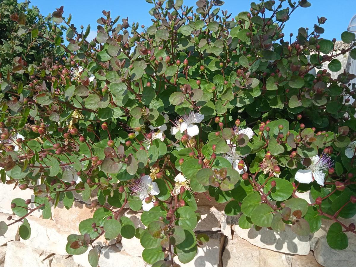 I 5 Sensi Villa Marina di Modica Dış mekan fotoğraf